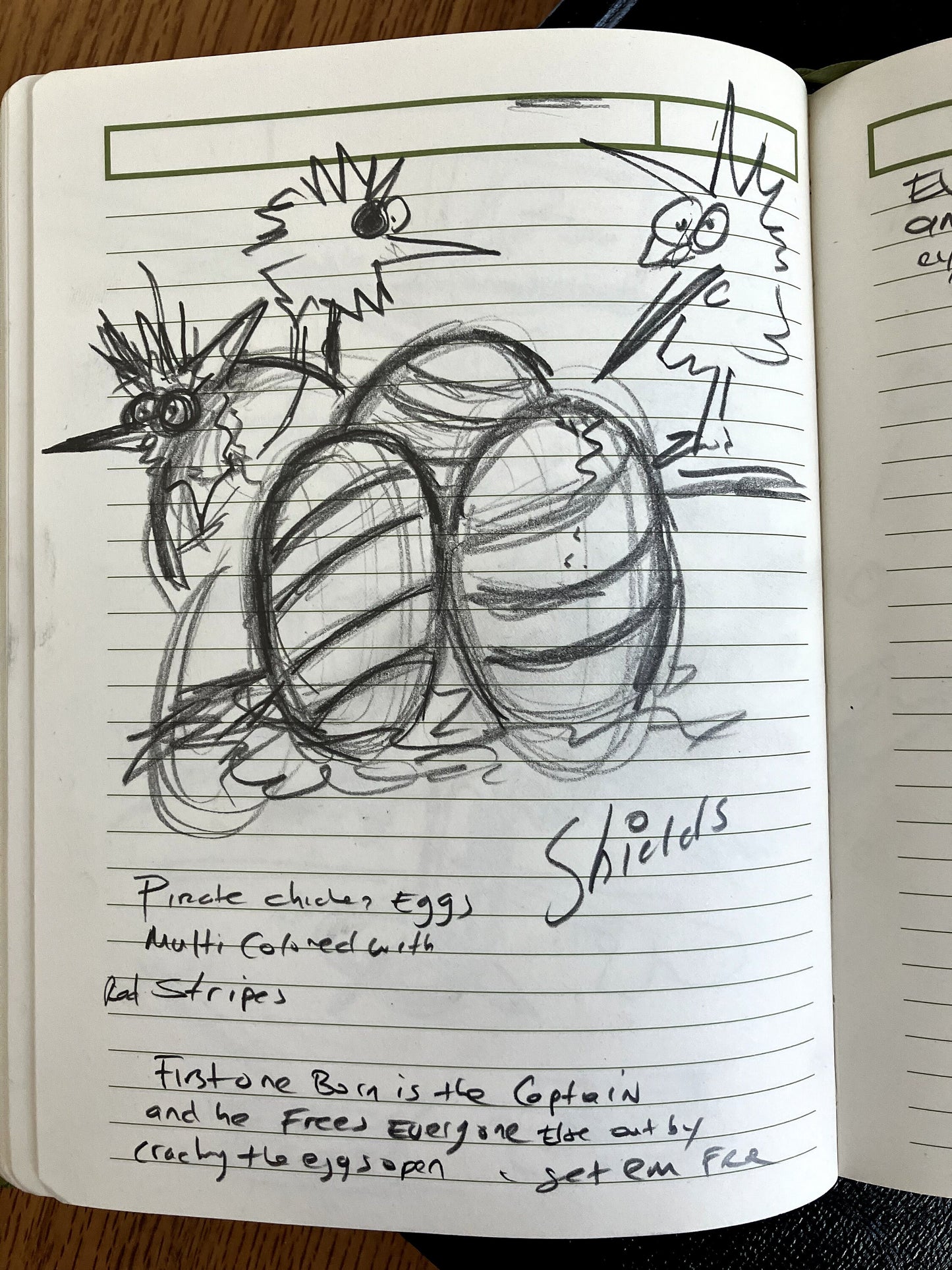Baby Pirate Chickens Hatching From Eggs - ORIGINAL SKETCH 1/1
