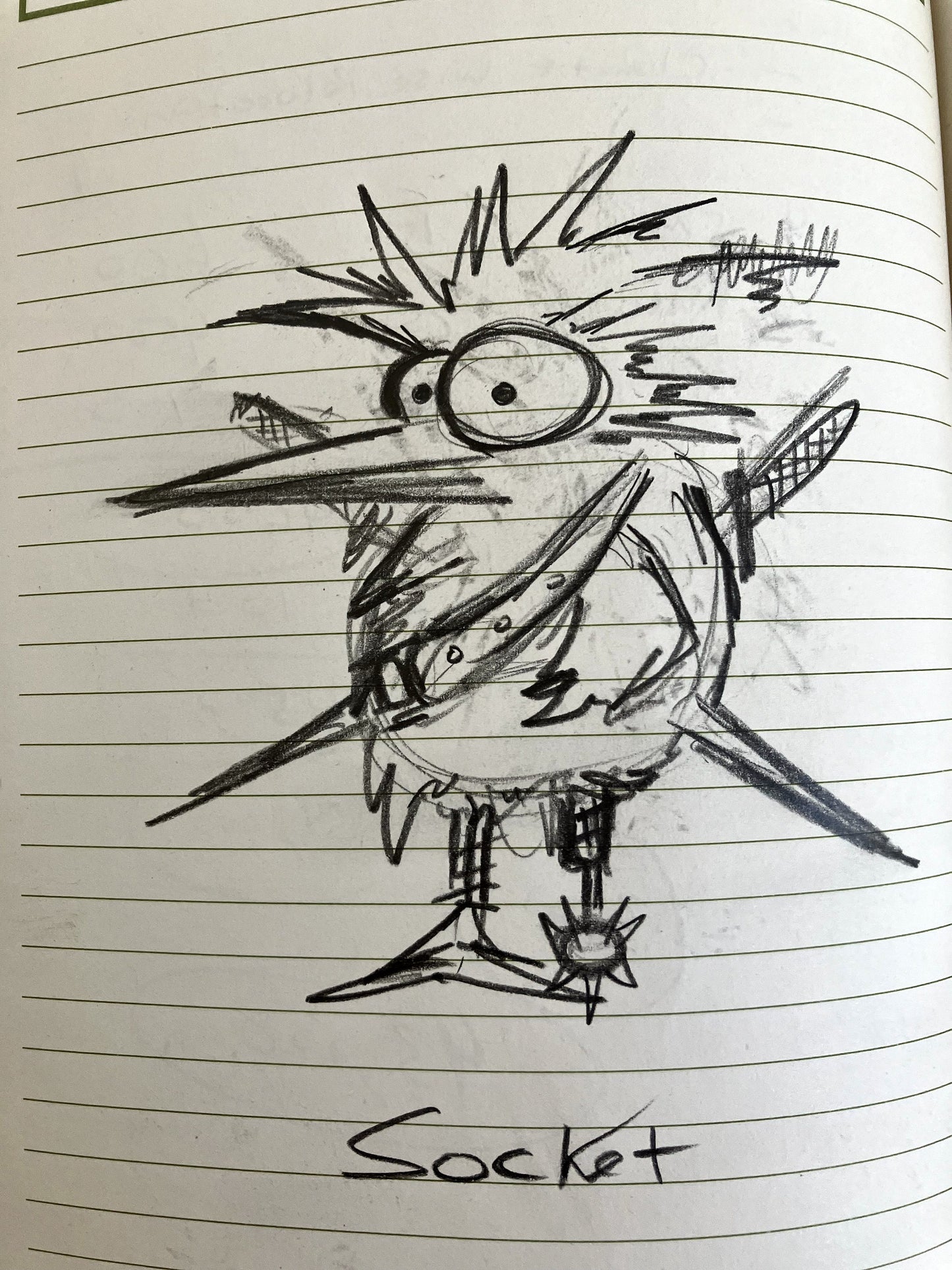 Pirate Chicken Socket - Original Sketch 1/1