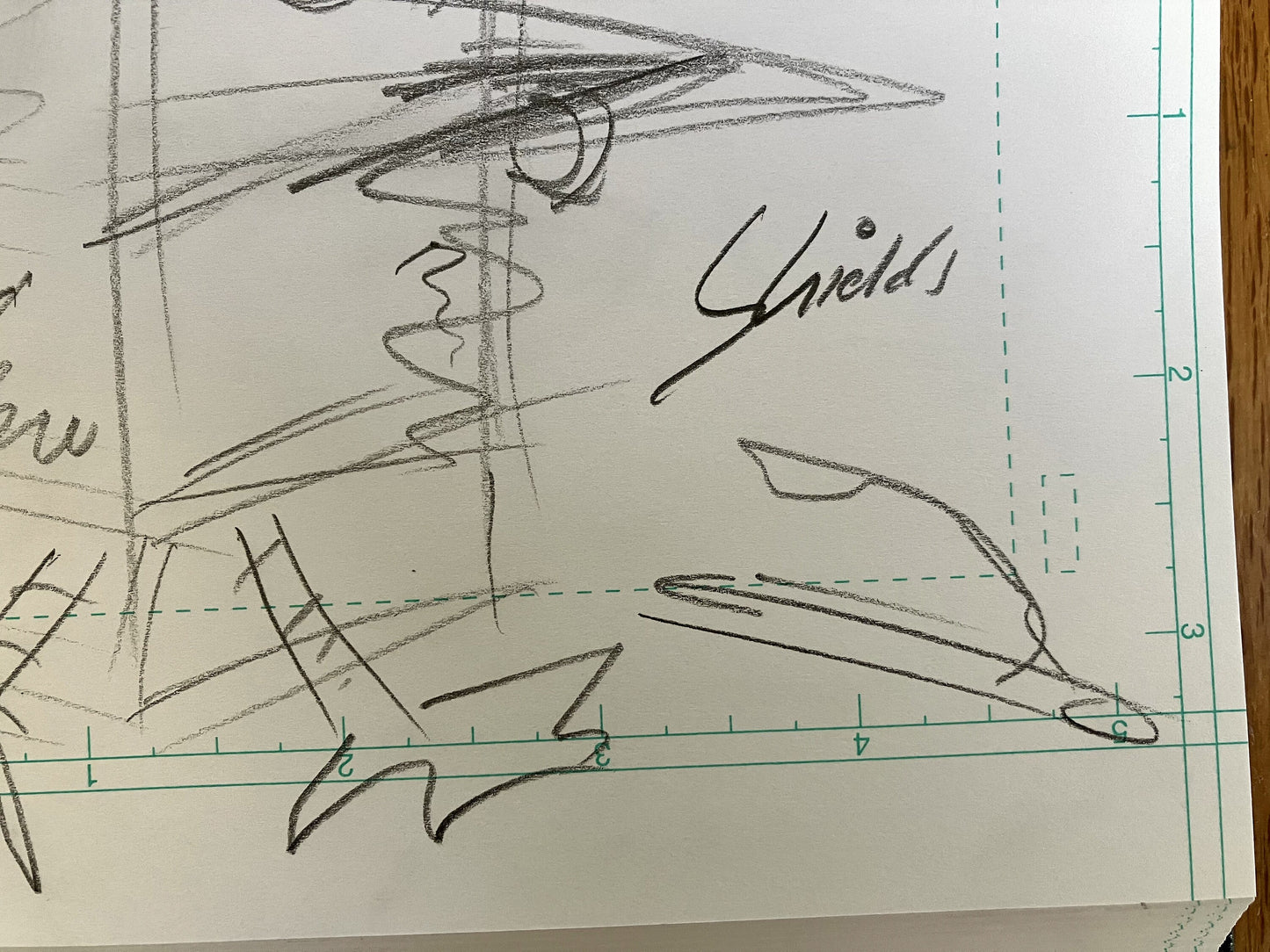 Pirate Chicken Trap - ORIGINAL SKETCH 1/1