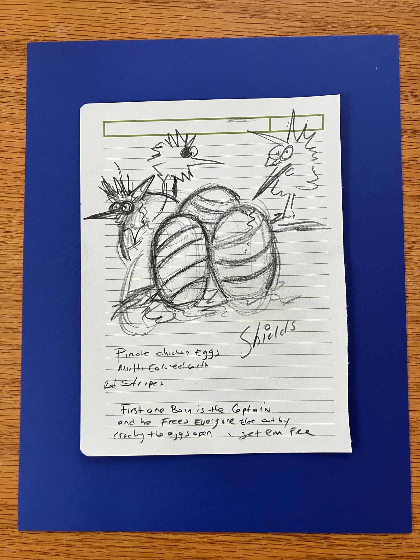 Baby Pirate Chickens Hatching From Eggs - ORIGINAL SKETCH 1/1