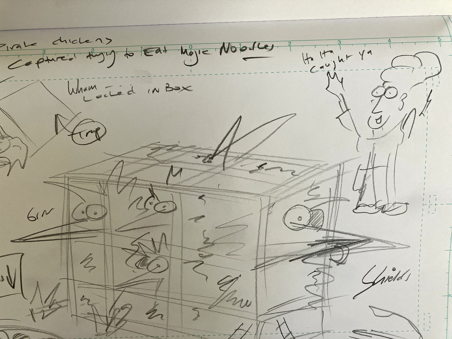 Pirate Chicken Trap - ORIGINAL SKETCH 1/1